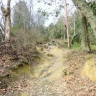 登城路