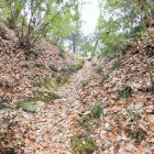 登城路
