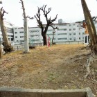 石碑