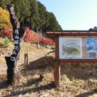 城址入口