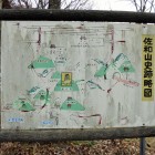 略図