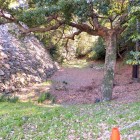 石垣と土塁と空堀