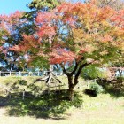 土塁