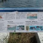 本丸跡の説明板