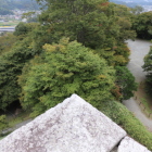 ロープの内側から撮っています。