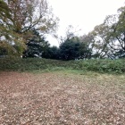本城曲輪の土塁です。興奮しますわ。