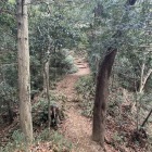引橋跡。尾根の狭さ、北側と南側の見晴らしが山城って感じです。