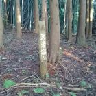 夏戸城武者溜り