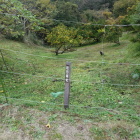 堀切跡