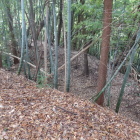 横堀
