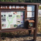 駐車場案内板