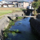 頭無川に架かる角材木橋