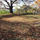西側の二の丸、西端に土塁