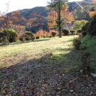 東側二の丸下の曲輪