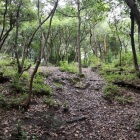 大手門跡