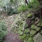 北二の丸石垣右側から