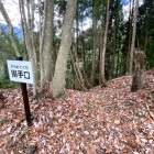 搦手口