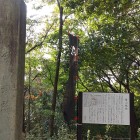 山頂