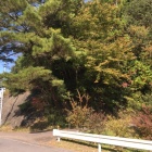 城跡予想箇所