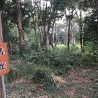 馬出