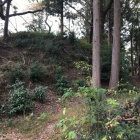 本郭切岸