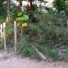 土塁
