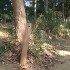 土塁