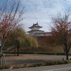 公園遠景