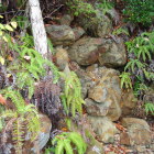 登山道脇の石垣（後世の可能性あり？）