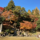 森藩陣屋跡の庭