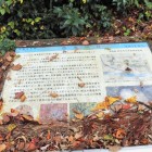 落葉に埋もれた説明板