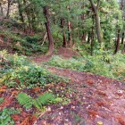 北登山道(北登山口方面)