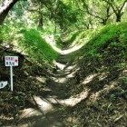 尾根通り