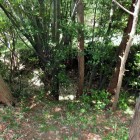 郭２から見た大堀切
