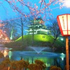 20170408高田城夜桜