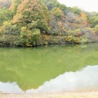 宮内池