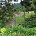 馬出と三郭間の堀切と木橋