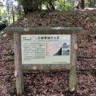 大堀切東堀の土塁