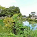 水堀と遠くに東隅櫓