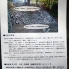 中井先生のコメントが掲載されていました。