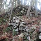 西曲輪群の高石垣