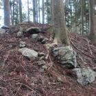兵糧蔵（東曲輪群）西南部虎口の石垣