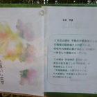 お手製解説