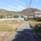 登城路手前の雛壇曲輪見たいな田圃
