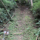 本丸登城階段、踊り場からの二段目、段崩れ危険