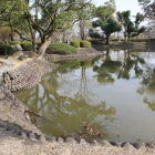 蓮池公園の池、手前に駐車場が在る