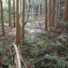 横堀（水掘りか？）