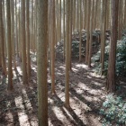 松永屋敷