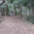 片城