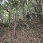 石積